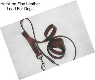 Hamilton Fine Leather Lead For Dogs