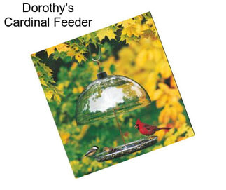 Dorothy\'s Cardinal Feeder