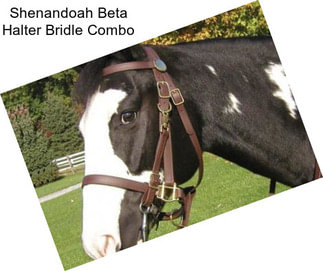 Shenandoah Beta Halter Bridle Combo