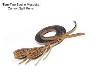 Turn-Two Equine Mesquite Canyon Split Reins
