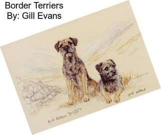Border Terriers By: Gill Evans