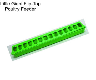 Little Giant Flip-Top Poultry Feeder