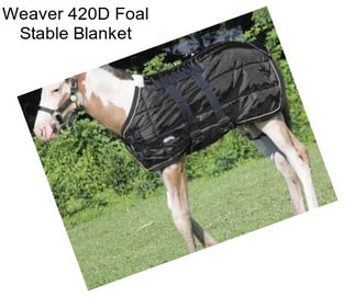 Weaver 420D Foal Stable Blanket