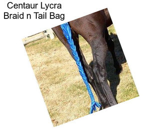 Centaur Lycra Braid n Tail Bag