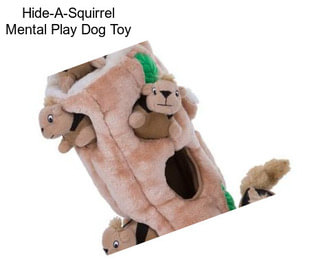 Hide-A-Squirrel Mental Play Dog Toy