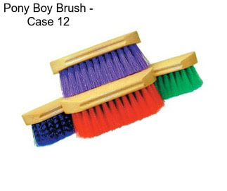 Pony Boy Brush - Case 12