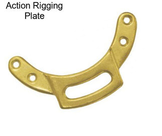 Action Rigging Plate