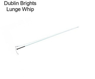 Dublin Brights Lunge Whip