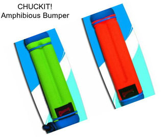 CHUCKIT! Amphibious Bumper