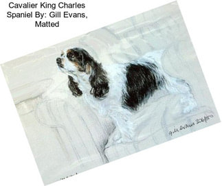 Cavalier King Charles Spaniel By: Gill Evans, Matted