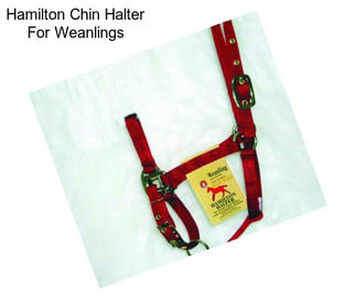 Hamilton Chin Halter For Weanlings