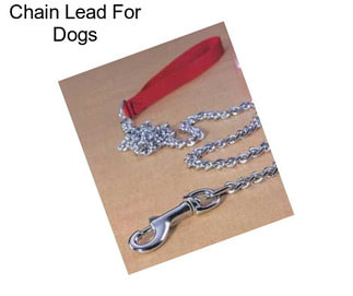 Chain Lead For Dogs