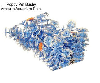 Poppy Pet Bushy Ambuila Aquarium Plant