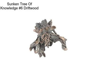 Sunken Tree Of Knowledge #6 Driftwood