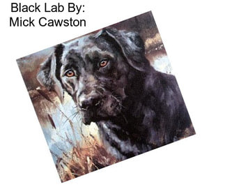 Black Lab By: Mick Cawston