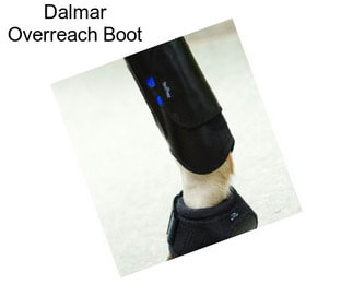 Dalmar Overreach Boot