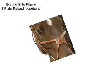 Exselle Elite Figure 8 Plain Raised Noseband