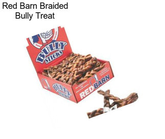 Red Barn Braided Bully Treat