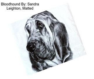 Bloodhound By: Sandra Leighton, Matted