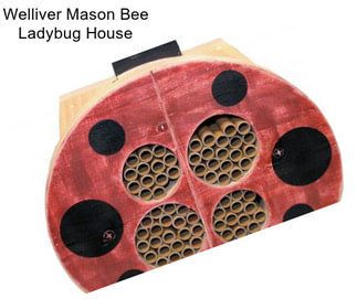 Welliver Mason Bee Ladybug House