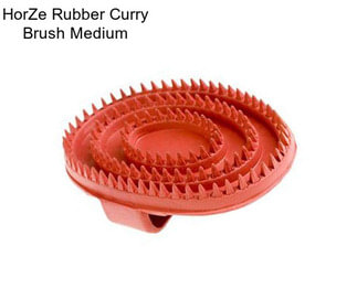HorZe Rubber Curry Brush Medium