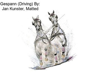 Gespann (Driving) By: Jan Kunster, Matted