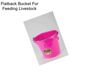 Flatback Bucket For Feeding Livestock