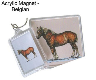 Acrylic Magnet - Belgian