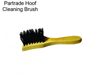 Partrade Hoof Cleaning Brush