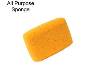 All Purpose Sponge