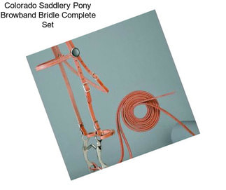 Colorado Saddlery Pony Browband Bridle Complete Set