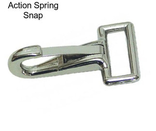 Action Spring Snap
