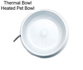 Thermal Bowl Heated Pet Bowl