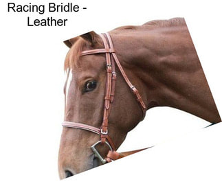 Racing Bridle - Leather