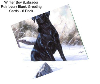Winter Boy (Labrador Retriever) Blank Greeting Cards - 6 Pack