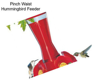 Pinch Waist Hummingbird Feeder