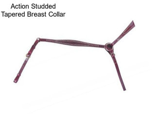 Action Studded Tapered Breast Collar