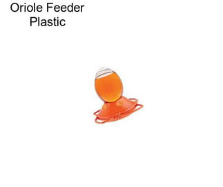 Oriole Feeder Plastic