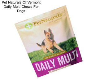 Pet Naturals Of Vermont Daily Multi Chews For Dogs