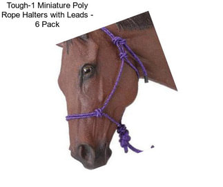 Tough-1 Miniature Poly Rope Halters with Leads - 6 Pack