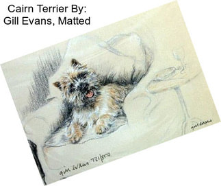 Cairn Terrier By: Gill Evans, Matted