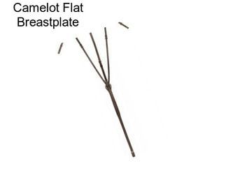 Camelot Flat Breastplate