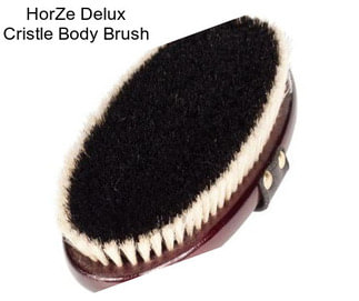 HorZe Delux Cristle Body Brush