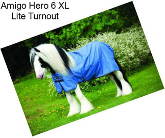 Amigo Hero 6 XL Lite Turnout