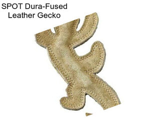 SPOT Dura-Fused Leather Gecko
