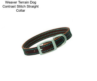 Weaver Terrain Dog Contrast Stitch Straight Collar