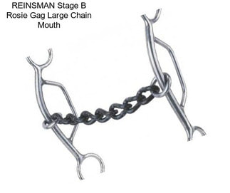 REINSMAN Stage B Rosie Gag Large Chain Mouth