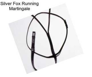 Silver Fox Running Martingale