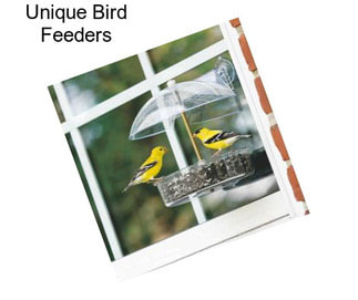 Unique Bird Feeders