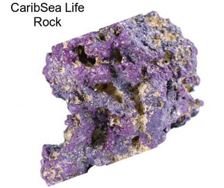 CaribSea Life Rock